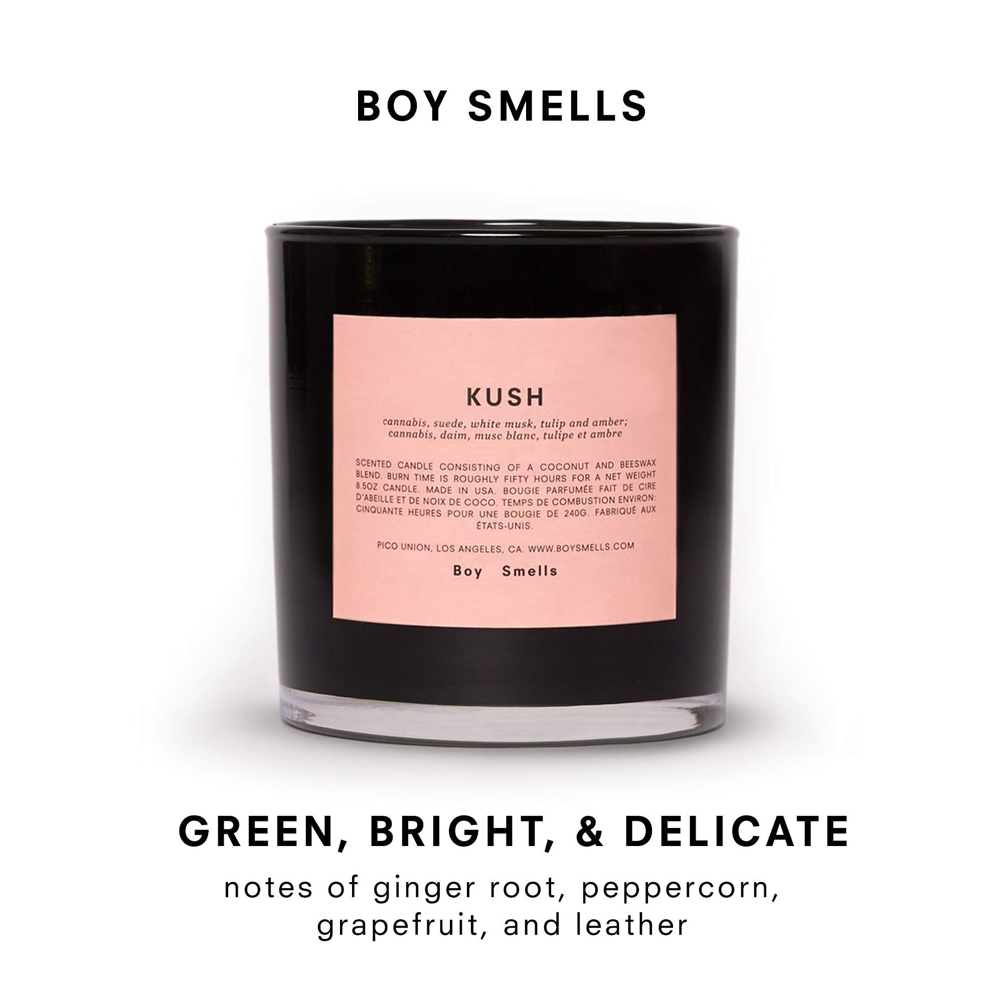 Kush Boy Smells Candle | 50 Hour Long Burning | All Natural Coconut & Beeswax | Luxury Scented Candle for Home (8.5 oz)