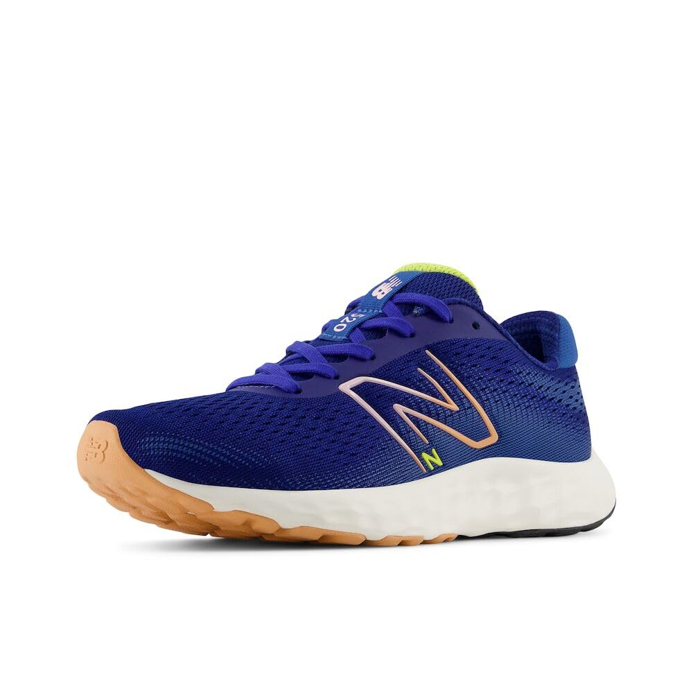 New Balance Women's 520 V8 Running Shoe